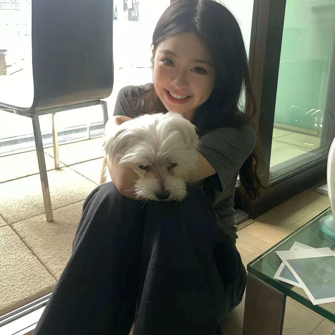 【高智商欺诈】《欺诈猎人》山下智久经典重温：为了给被诈骗逼死的家人报仇，黑鹭向全天下骗子宣战